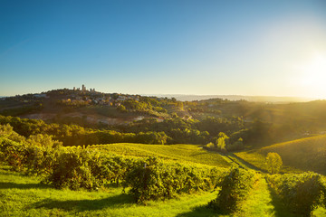 San Gimignano panoramic medieval town towers skyline and vineyards. Tuscany, Italy