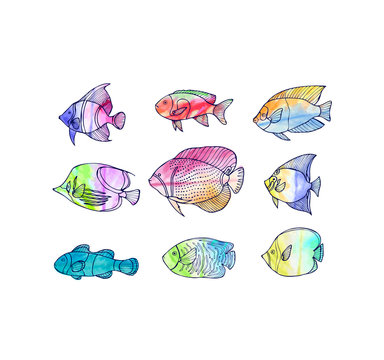 Hand drawn coral fish set with  watercolor background.
