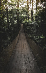 Obraz premium BRIDGE