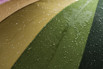 The vertical view of close-up  umbrella in rainbow colors in rainy autumn day, blur focus