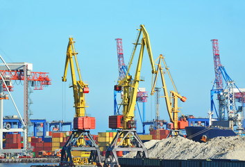 Port cargo crane and container
