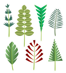Green abstract leaf icons natural set on white background. Vector illustration.