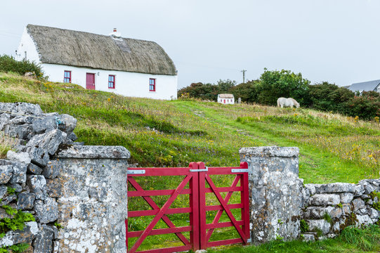 Typical Irish cottage house with thatched roof and stone wall with red fence on The Aran Islands, a group of three islands located at the mouth of Galway Bay, on the west coast of Ireland.