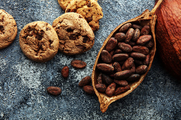 Chocolate cookies on grey table. Chocolate chip cookies shot
