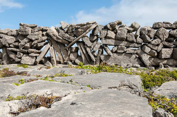 Typical stone walls delimiting fields on The Aran Islands, a group of three islands located at the mouth of Galway Bay, on the west coast of Ireland.