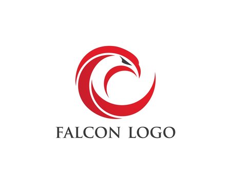 Falcon Eagle Bird Logo Template