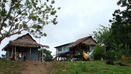 Fototapeta na wymiar Casas rurales típicas de la región del Amazonas.