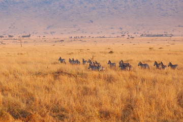 Landscape in Kenya