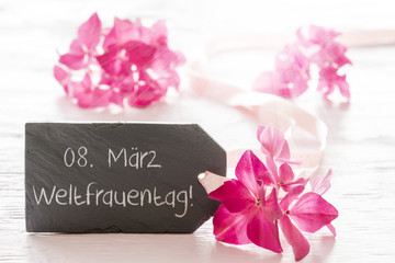 Obraz na płótnie Canvas Hydrangea Blossom, Weltfrauentag Means International Womens Day
