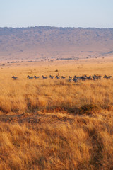 Landscape in Kenya