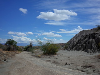 The Lunar landscape of Los Hoyos, the Grey Desert, part of Colombia's Tatacoa Desert. The area is an ancient dried forest and popular tourist destination.