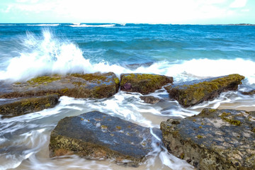 Turtle Bay Pacific Ocean Beach