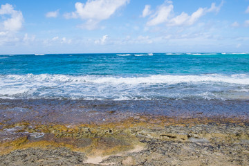 Turtle Bay Pacific Ocean Beach