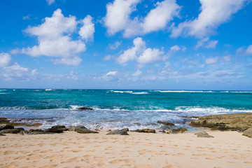 Turtle Bay Pacific Ocean Beach