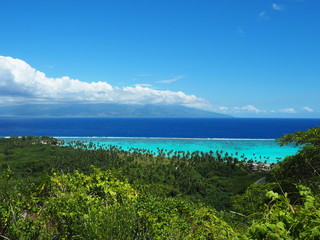 Fototapeta na wymiar Tahiti