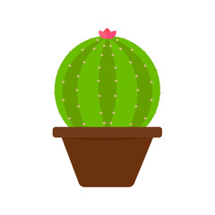 Abstract cute cactus
