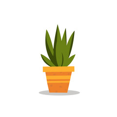 Flat little Aloe Vera in pot with isolated white background vector.Little plant for decoration.