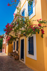Flowers and walls of neoclassical houses in Nimborio on island of Halki (Greece)