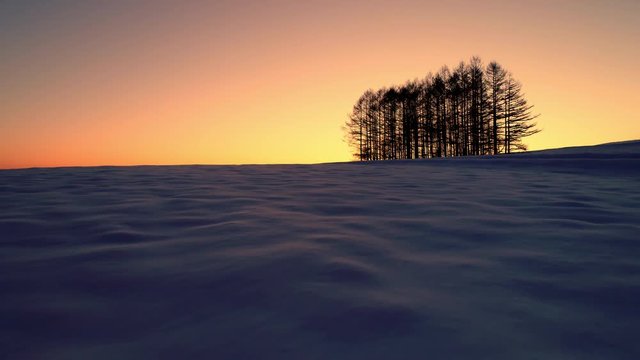 空撮 - 夜明けの雪原と遠くの木々
