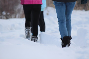 Wintry Snow Walk