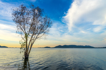 Fototapeta na wymiar View at Bang Phra Reservoir, Sriracha, Chonburi, Thailand