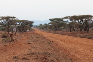Landscape in Kenya,
