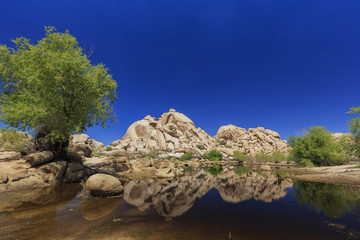 Landscape in Joshua Tree National Park