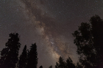 Fototapeta na wymiar Milky way in Crested Butte, Colorado