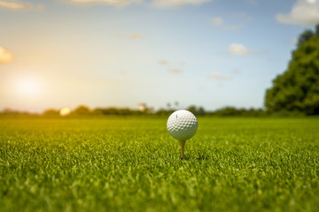 Golf ball put on tee green grass prepare  teeing to golf court