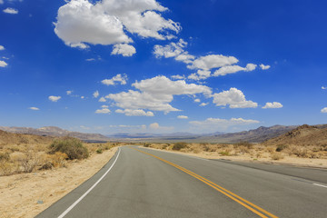 Landscape in Joshua Tree National Park
