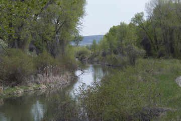 Rural canal in Idaho 0126