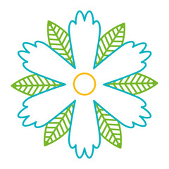 flower petals leaves nature decoration vector illustration color line design