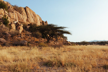 Fototapeta premium Landscape in Kenya