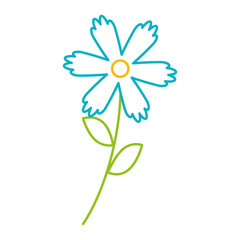 flower stem leaves nature petals decoration vector illustration color line design