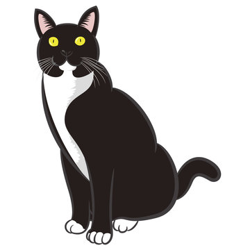 5 件の最適な ハチワレ猫 画像 ストック写真 ベクター Adobe Stock