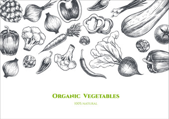 Vector frame with vegetables . Hand drawn. Vintage style