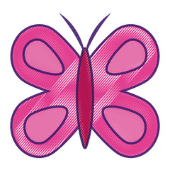 cute butterfly wings insect decoration vector illustration drawing design