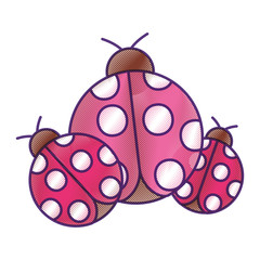 ladybugs insect small icon animal vector illustration drawing design