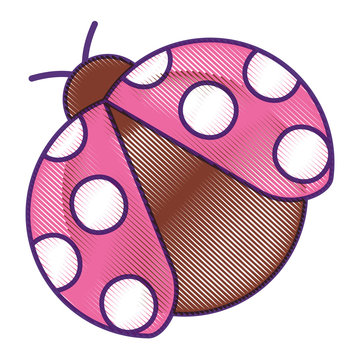 ladybug insect small icon animal vector illustration drawing design