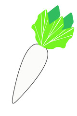 大根のイラスト