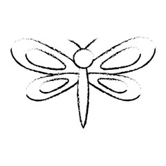 dragonfly insect spring season pictogram vector illustration sketch design