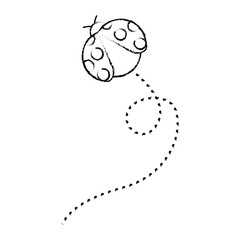 cute flying ladybug animal cartoon vector illustration sketch design
