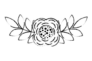 flower and leaves floral botanical natural spring image vector illustration sketch design