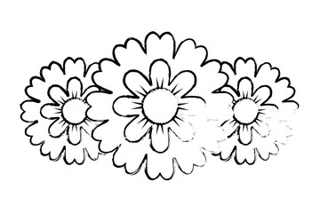 three flower natural decoration ornament image vector illustration sketch design