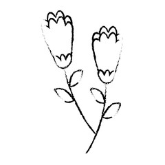 two flowers decorative spring image vector illustration sketch design