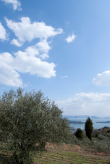 Obraz premium Japan Usimado