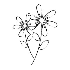 two flowers decorative spring image vector illustration sketch design