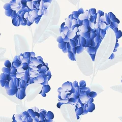 Gardinen Seamless pattern, blue hydrangea flower with white guava leaves on light grey background © momosama