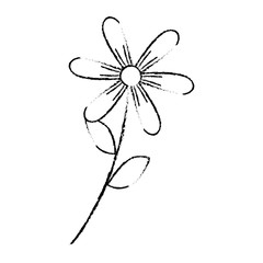flower stem leaves nature petals decoration vector illustration sketch design