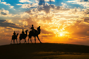 Camel caravan in silhouette at sunset at Thar desert, Jaisalmer Rajasthan, India.